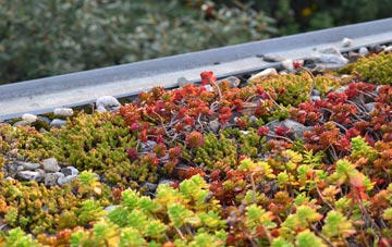 the cost of Sproxton green roof installation