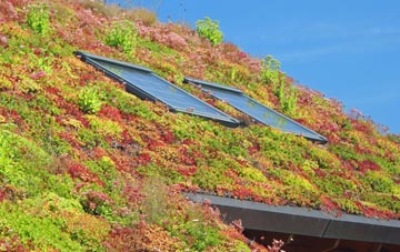 Sproxton living roof systems